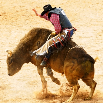 Bull Riding School in Houston Bull Riding School in Houston