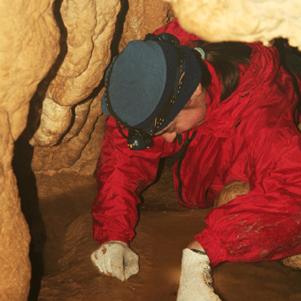 Wild Caving Tour (for 6+) in Nashville