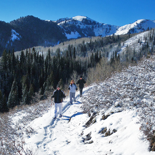 Snowshoeing Tour in Salt Lake City at Virgin Experience Gifts Gifts