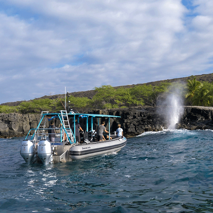 Snorkel in Hawaii