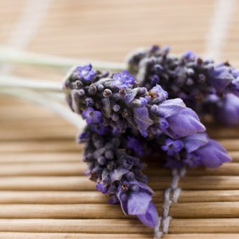 Aromatherapy Massage in Miami Aromatherapy Massage in Miami