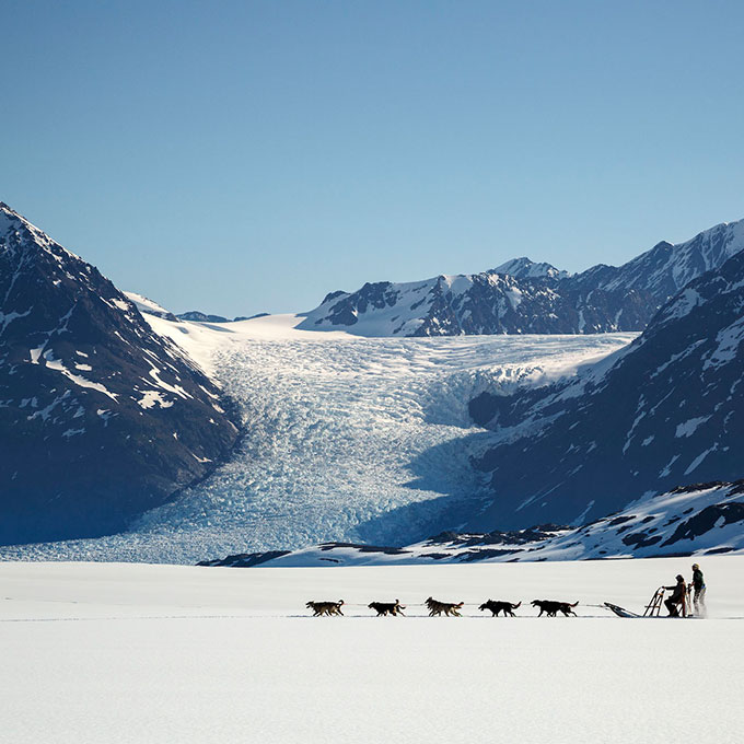Alaska Dog Sledding Adventure