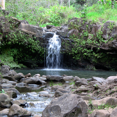 Freshwater Pools on Maui