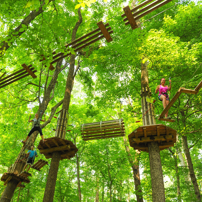 Indianapolis Zip Line Adventure Course Virgin Experience Gifts