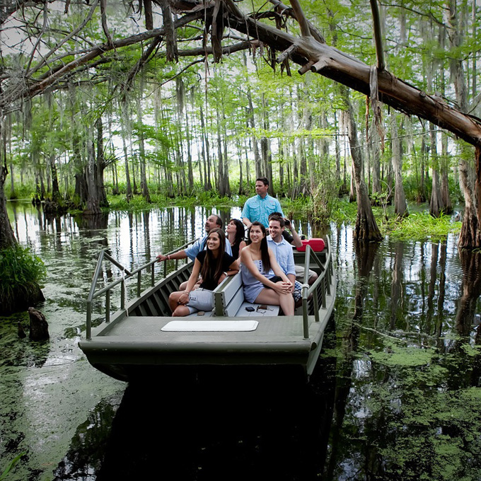 Boat Tour in Louisiana