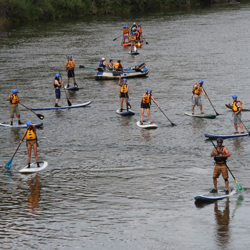 Group Paddleboarding in the Colorado River
