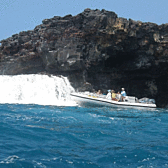 Kona Snorkeling