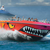 Adrenaline Rush on Codzilla Harbor Ride in Boston 