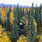 Zipline Course in Alaska