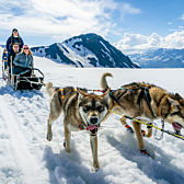 Dogsledding in Alaska