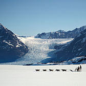 Alaska Dog Sledding Adventure