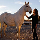 Horse Whisperer
