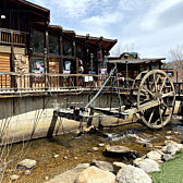 Day Tour of Estes Park