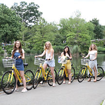 Group Bike Rental