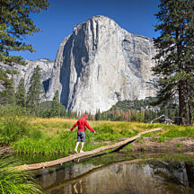 Yosemite National Park Tour in San Francisco