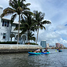 Mangrove Kayak Tour in West Palm Beach