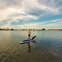 Stand Up Paddle Board Tour in Tampa
