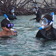 People with Snorkel Masks in Water