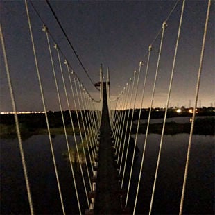 Suspension Bridge on Tour near Tampa