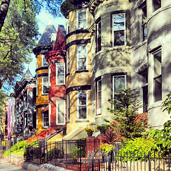 Capitol Hill Food Tour in Washington DC Capitol Hill Food Tour in Washington DC