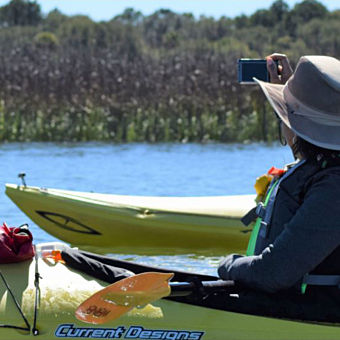 Marsh Kayaking in Charleston