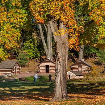Log Cabins Surrounded by Trees Log Cabins Surrounded by Trees
