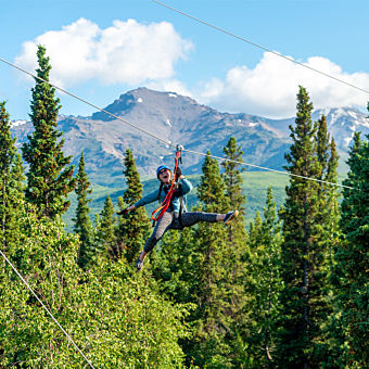 Ziplining in Denali Park Ziplining in Denali Park