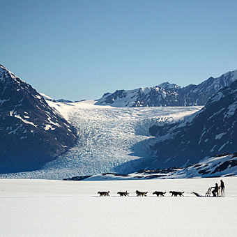 Dogsled Tour in Alaska