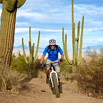 Private Fat Bike Tour in the Sonoran Desert Private Fat Bike Tour in the Sonoran Desert