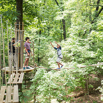 Ziplining in Memphis Ziplining in Memphis