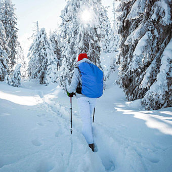Woman Snowshoeing in Forest 