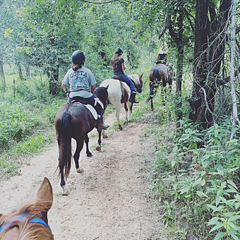 Childrens Weekend Horseback Riding Lesson