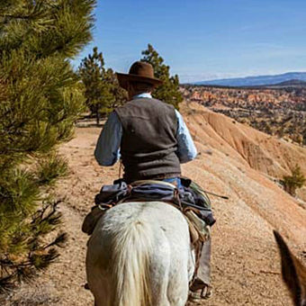 All-Day Horseback Riding All-Day Horseback Riding