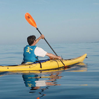 Paddle to the Brewery Tour - Cape Cod Paddle to the Brewery Tour - Cape Cod