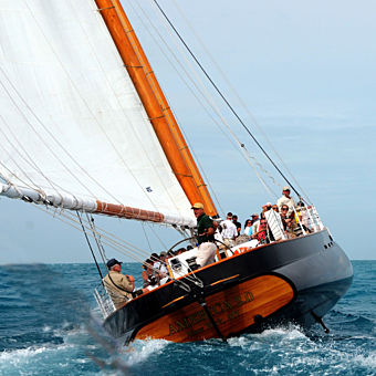 Key West Sailing Cruise Key West Sailing Cruise