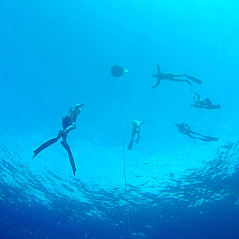 Open Water Freedive
