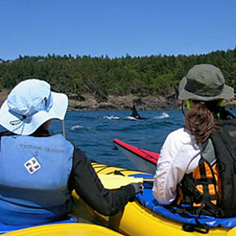 2 Day Whale Watch and Kayak Tour in Seattle 2 Day Whale Watch and Kayak Tour in Seattle