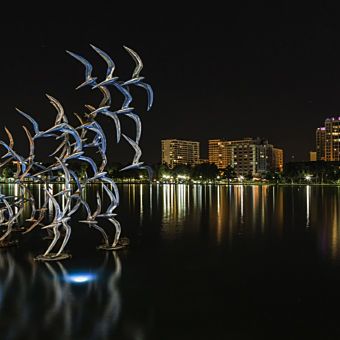 Birds Flying Over Lake at Night