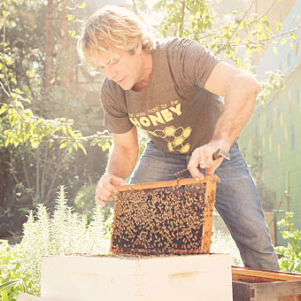 Bee Garden in Savannah