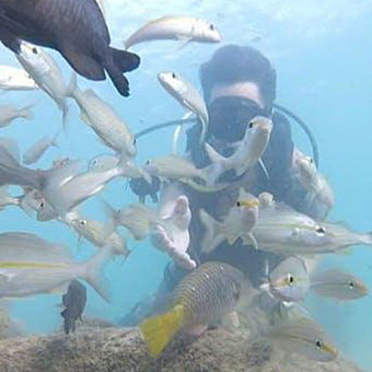 Scuba tour Scuba tour