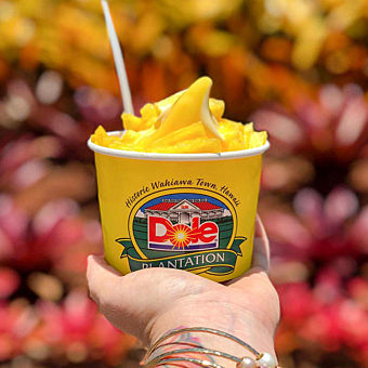 North Shore tour with Dole Whip 