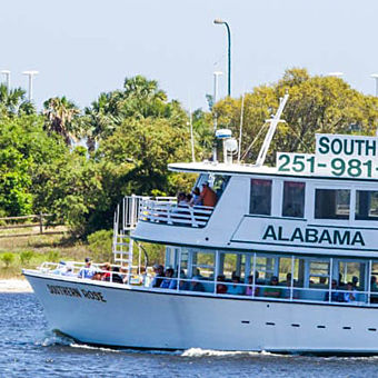 Alabama Dolphin Cruise