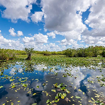 Everglades boat tour Everglades boat tour