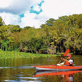 Kayaking the Wekiva River during Tour 