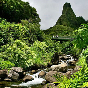 Green West Maui Mountain Tour