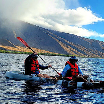 Whale Watching Kayaking Tour Whale Watching Kayaking Tour