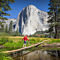 Yosemite National Park Tour in San Francisco