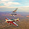 Air Combat Flying Experience in Arizona