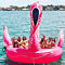 Flamingo Cruise in West Palm Beach