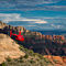 Tour of Sedona by Helicopter